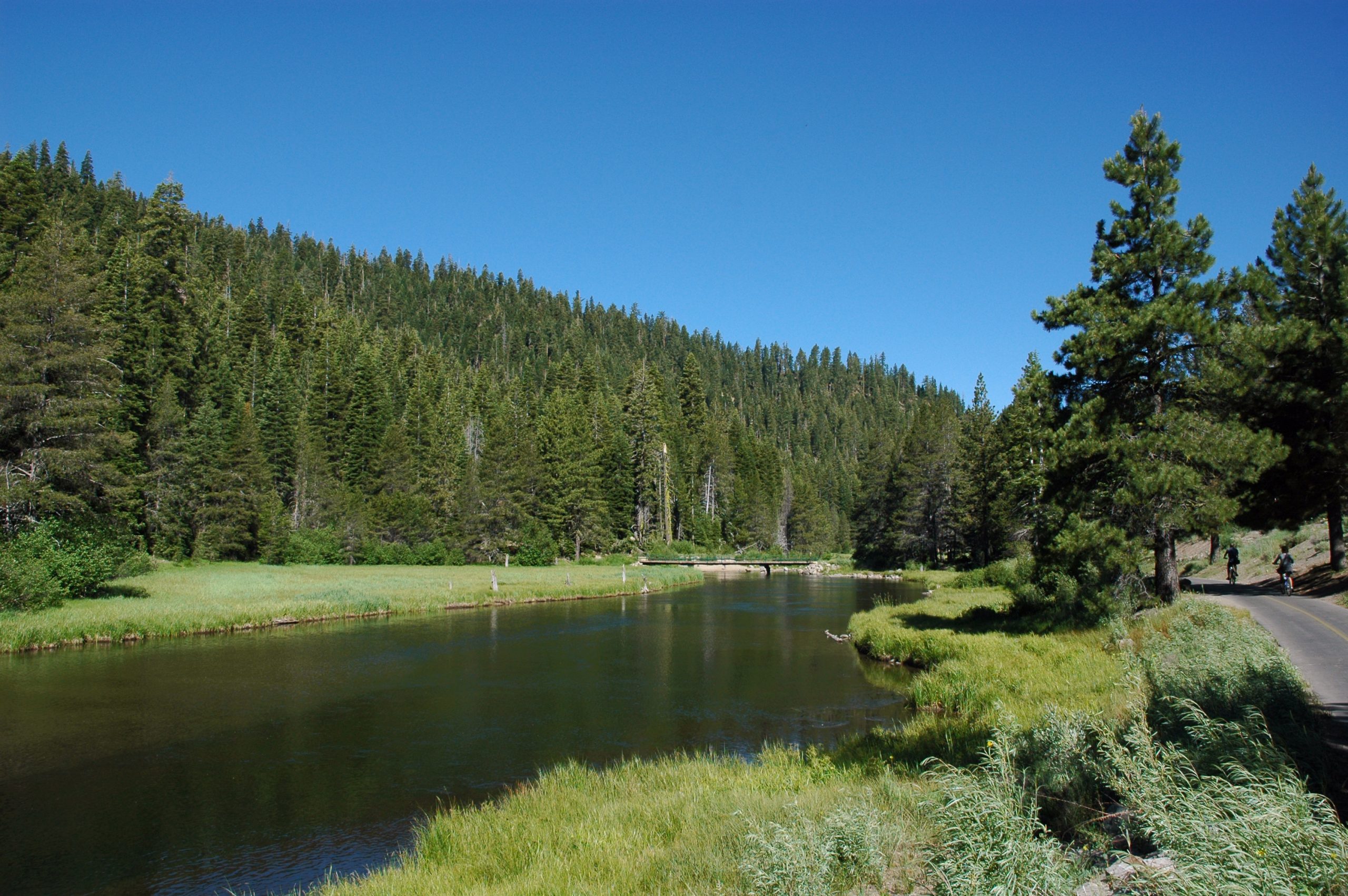 Lake Tahoe Bike Rentals: 6 Shops, Prices & Paths