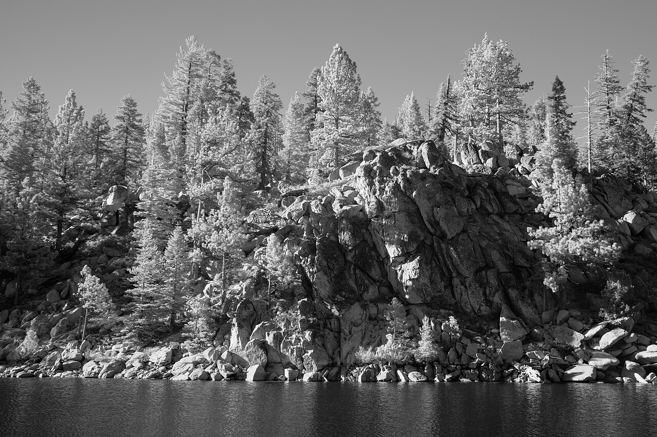 Black-and-white photograph of pine trees and a rocky shore at Marlette Lake